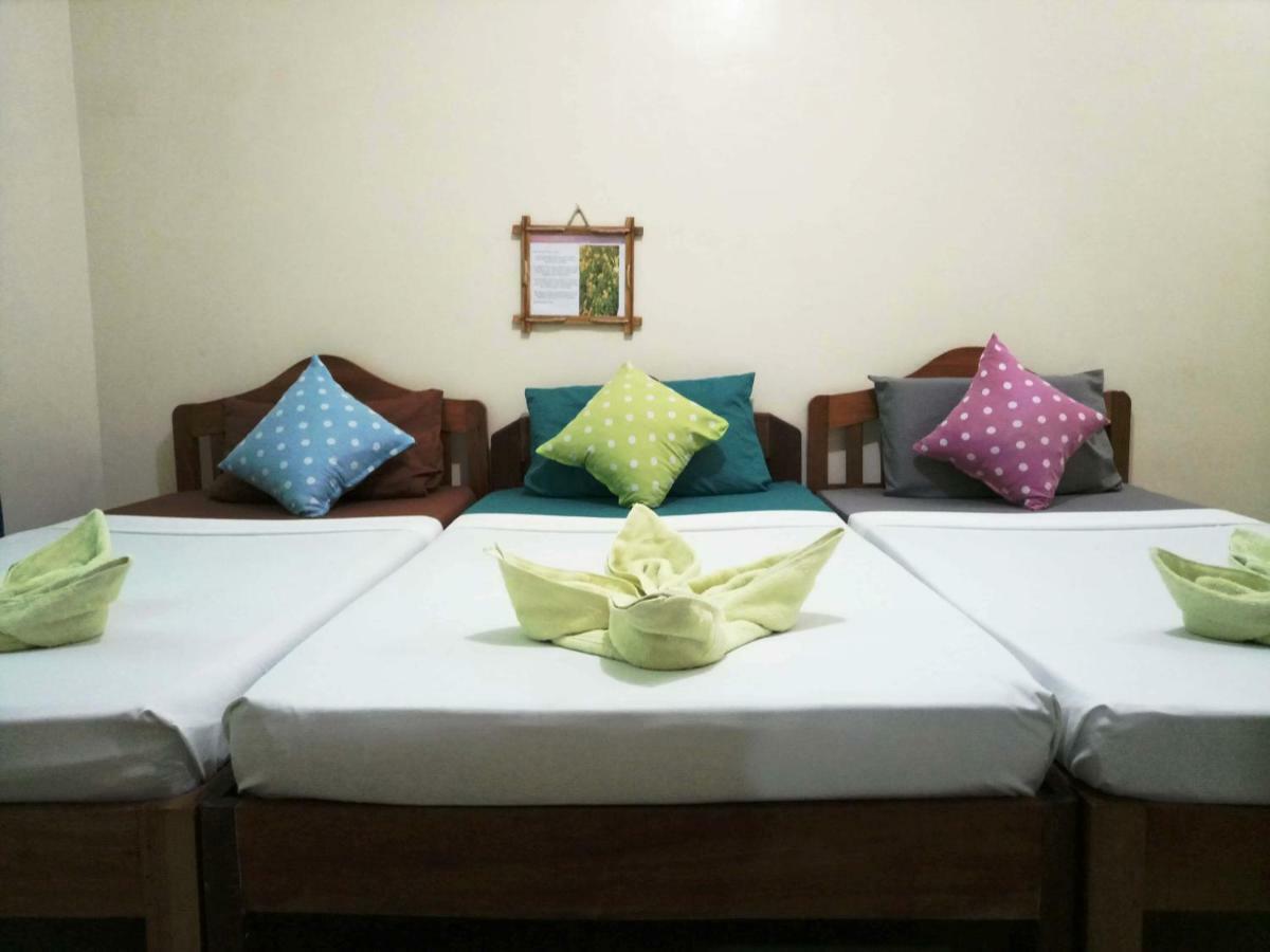 Green Park Tourist Inn Puerto Princesa Bagian luar foto