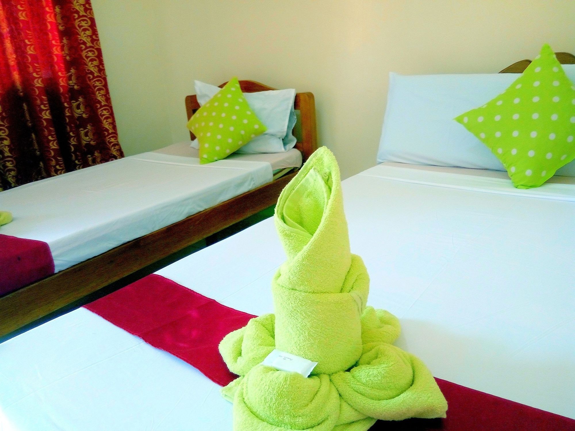 Green Park Tourist Inn Puerto Princesa Bagian luar foto